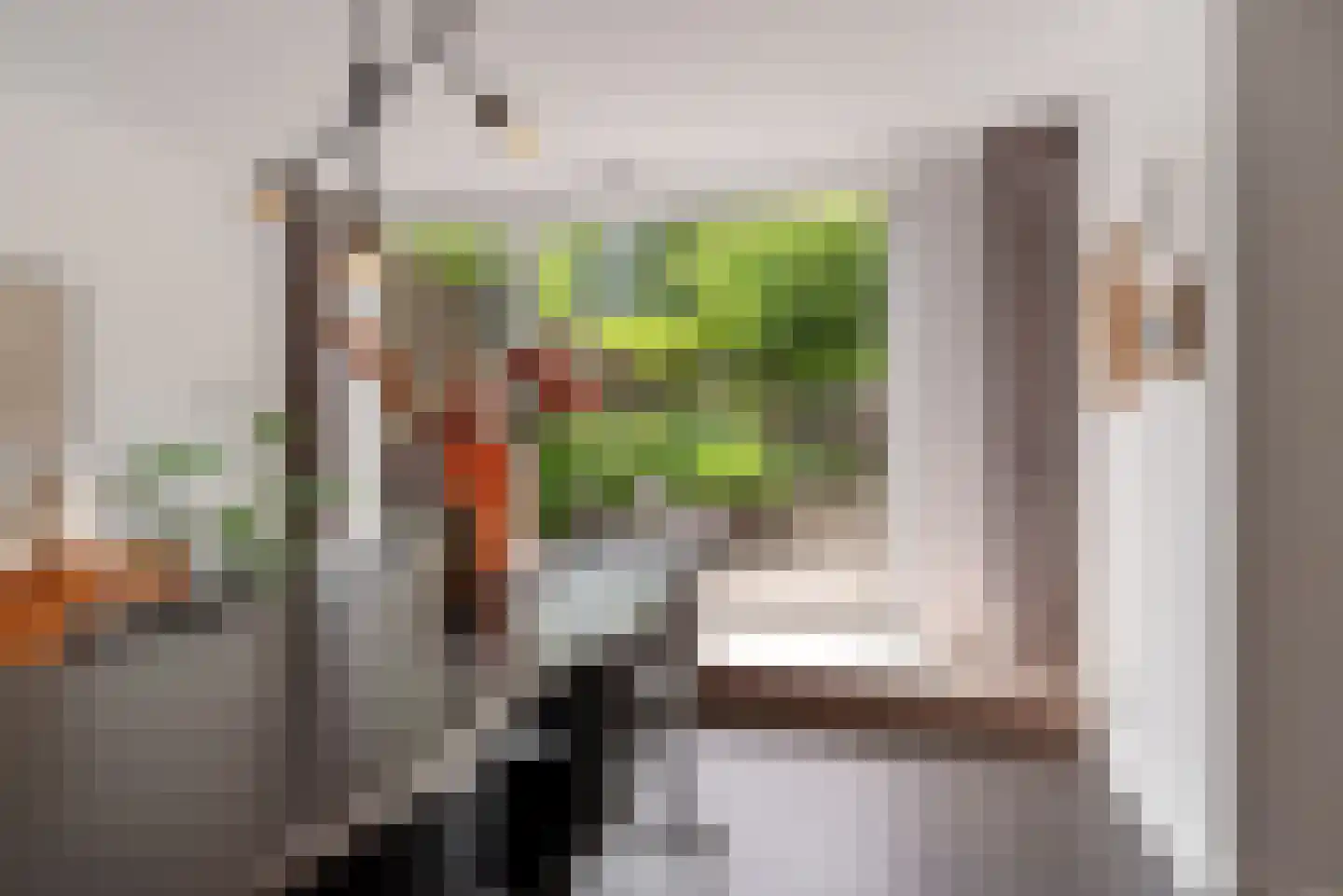 Want 75 Huizen thumbnail 11