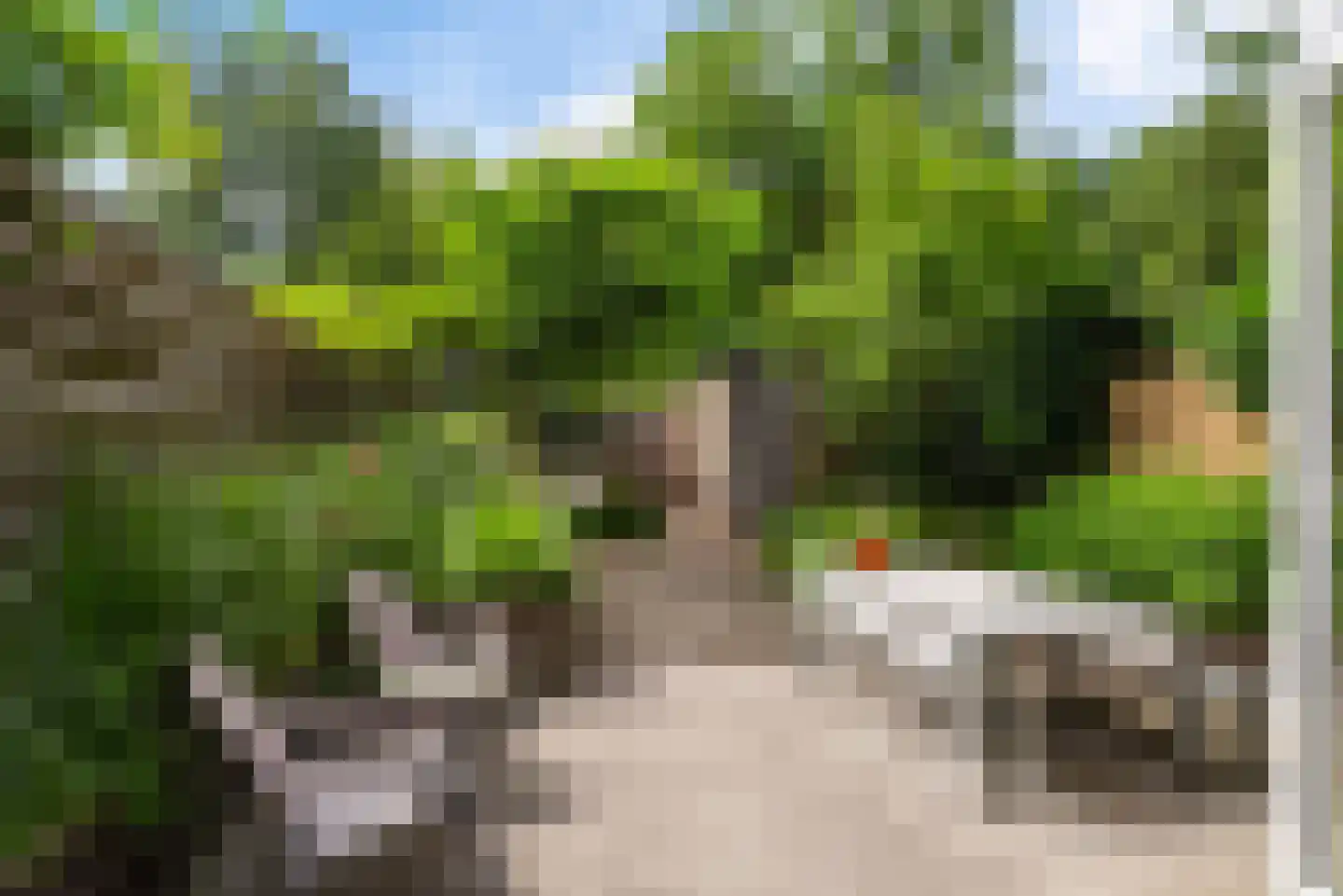 Want 75 Huizen thumbnail 13