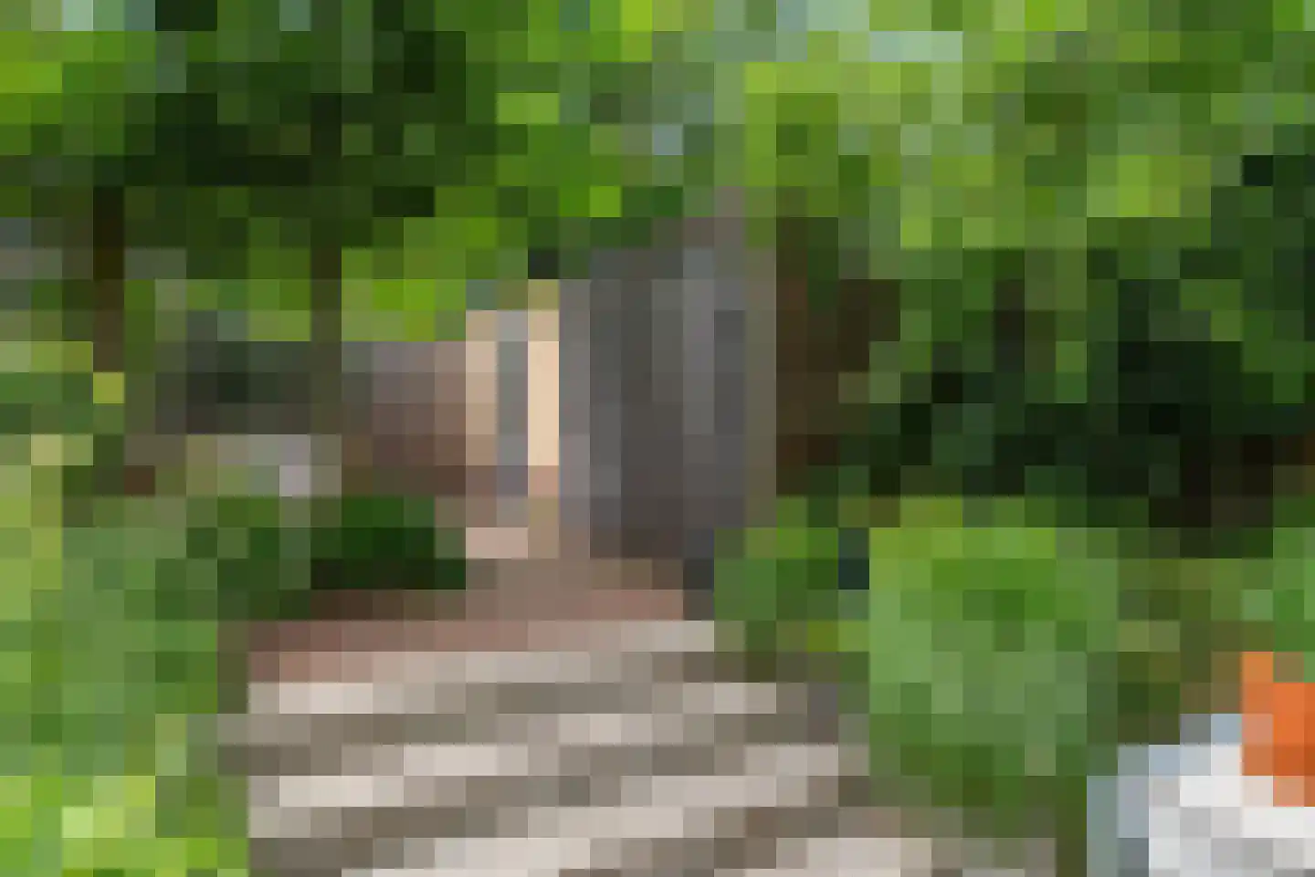Want 75 Huizen thumbnail 16
