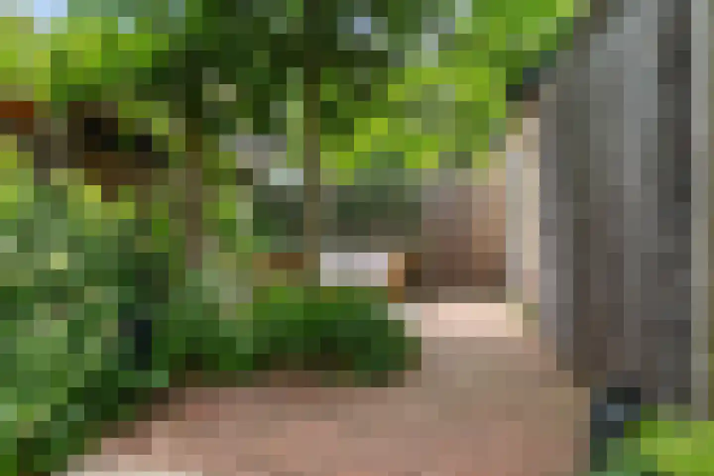 Want 75 Huizen thumbnail 17