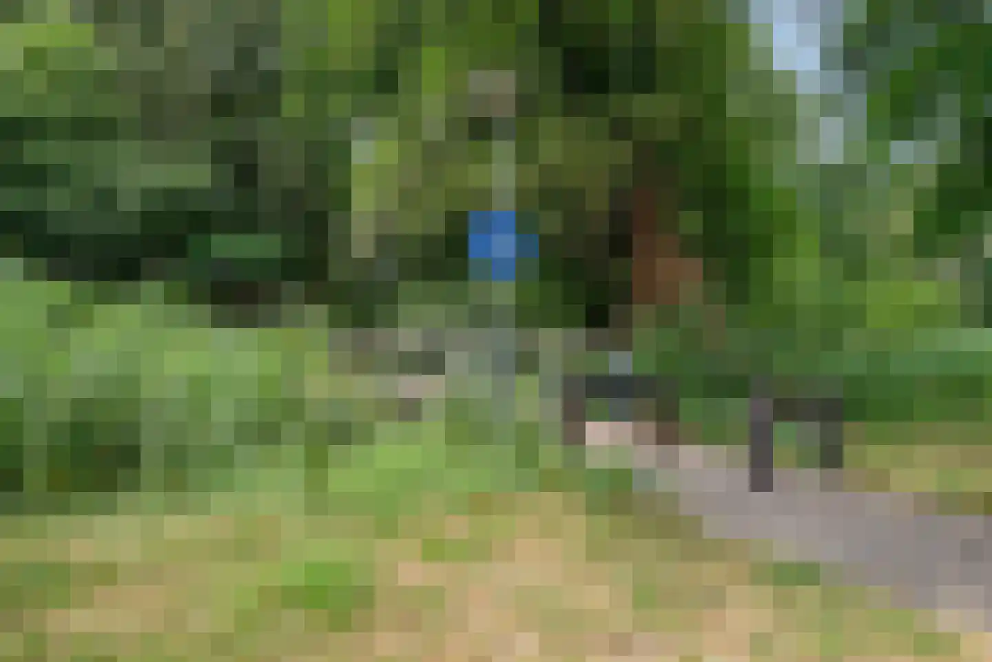 Want 75 Huizen thumbnail 21