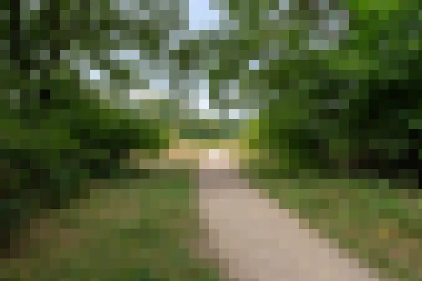Want 75 Huizen thumbnail 22