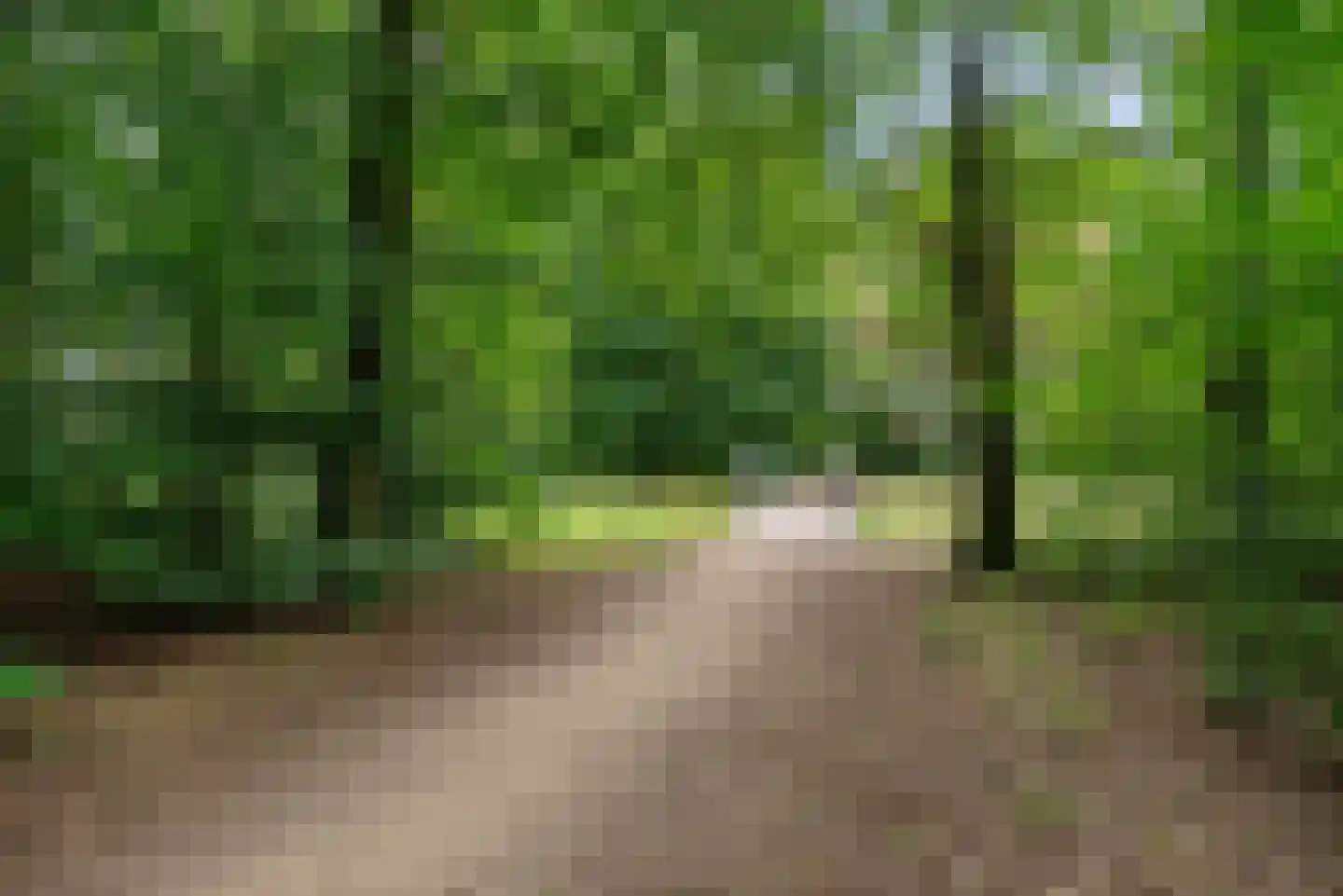 Want 75 Huizen thumbnail 23