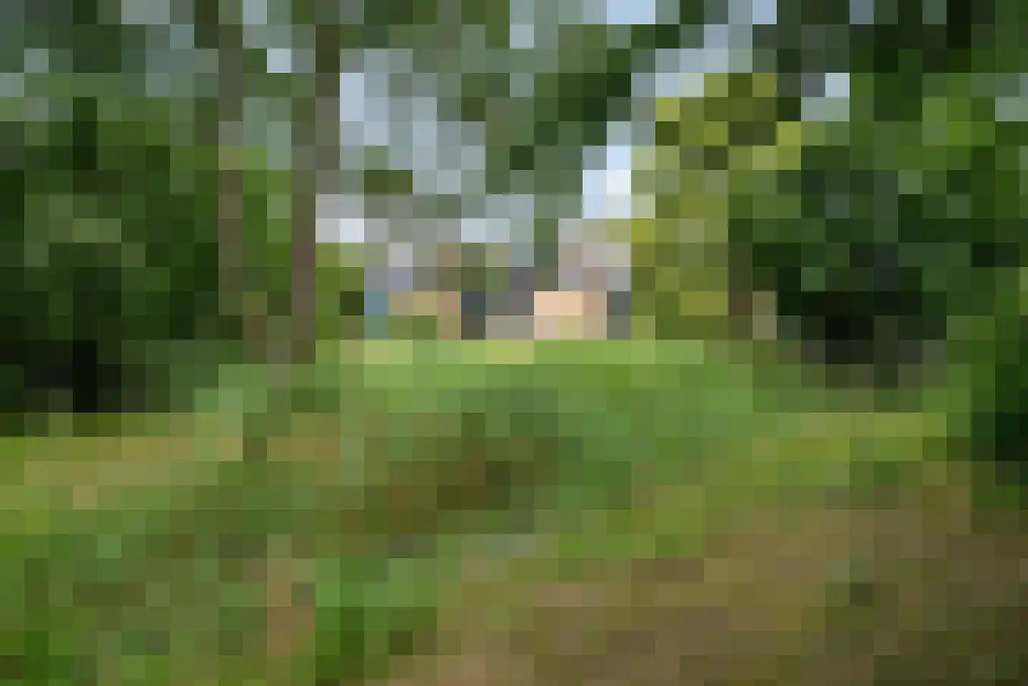 Want 75 Huizen thumbnail 24