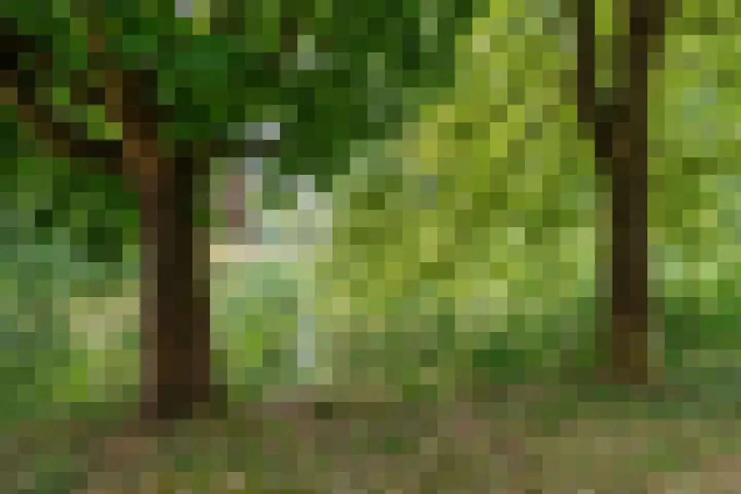 Want 75 Huizen thumbnail 25