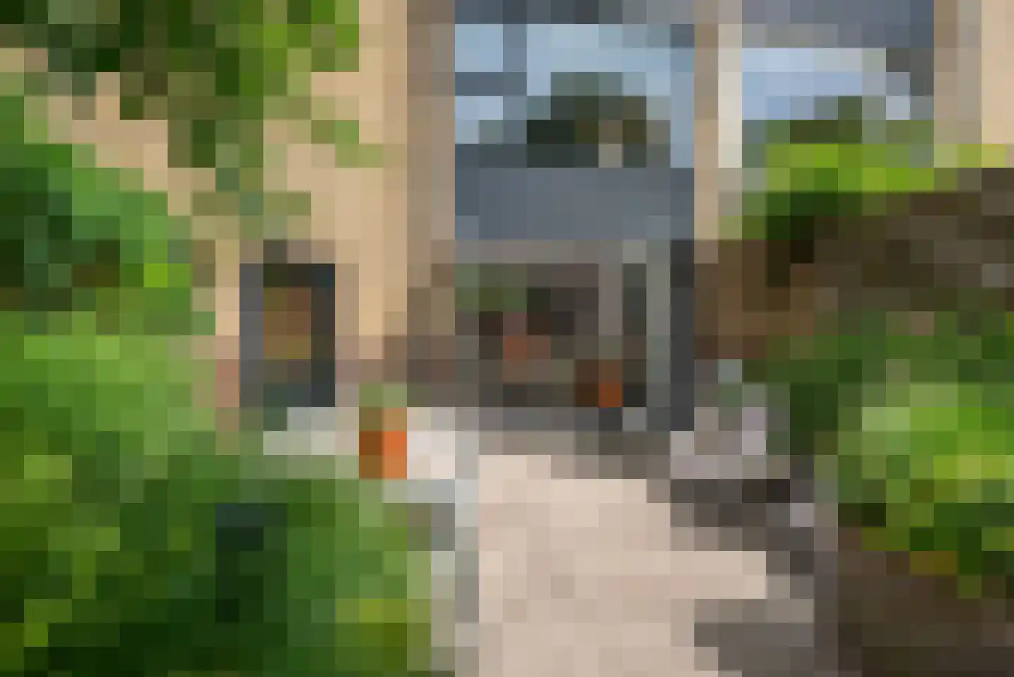 Want 75 Huizen thumbnail 28
