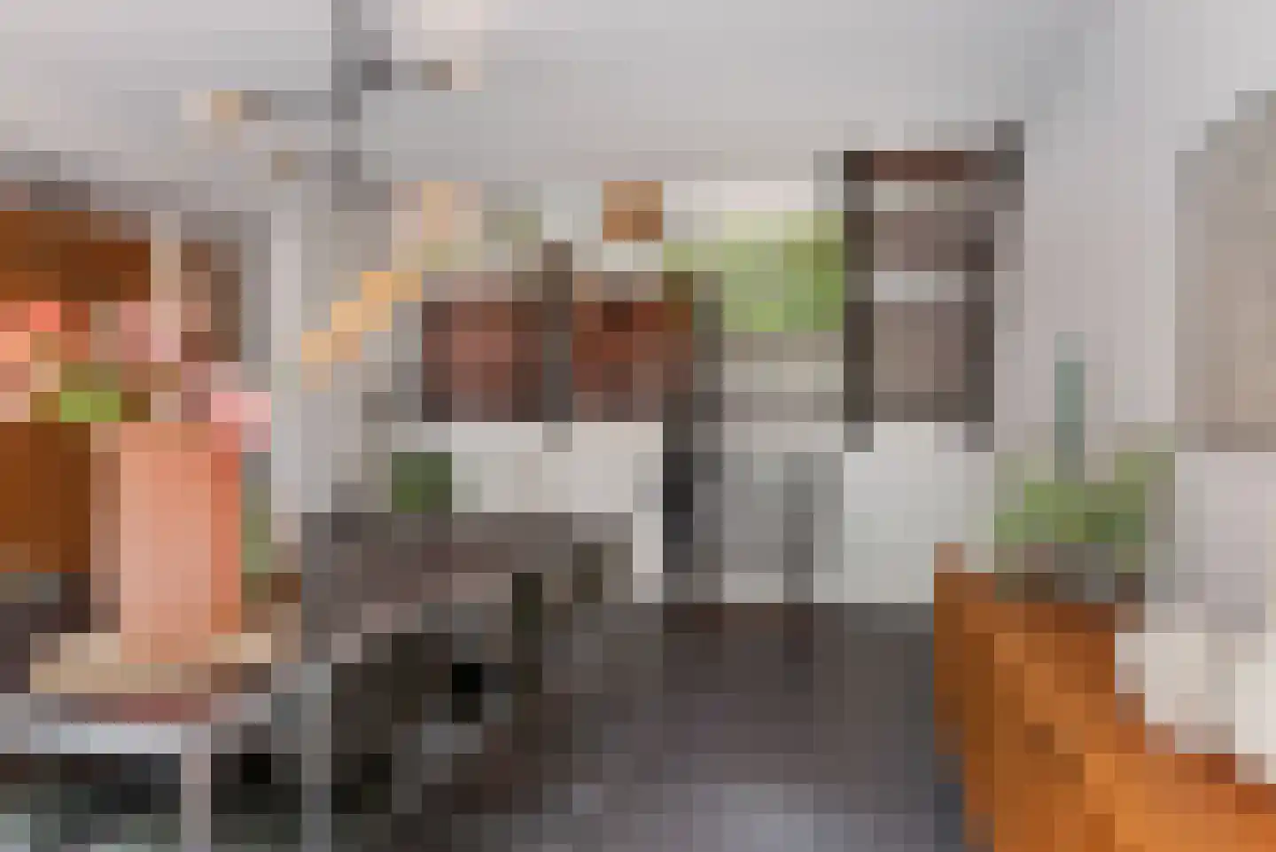 Want 75 Huizen foto 3