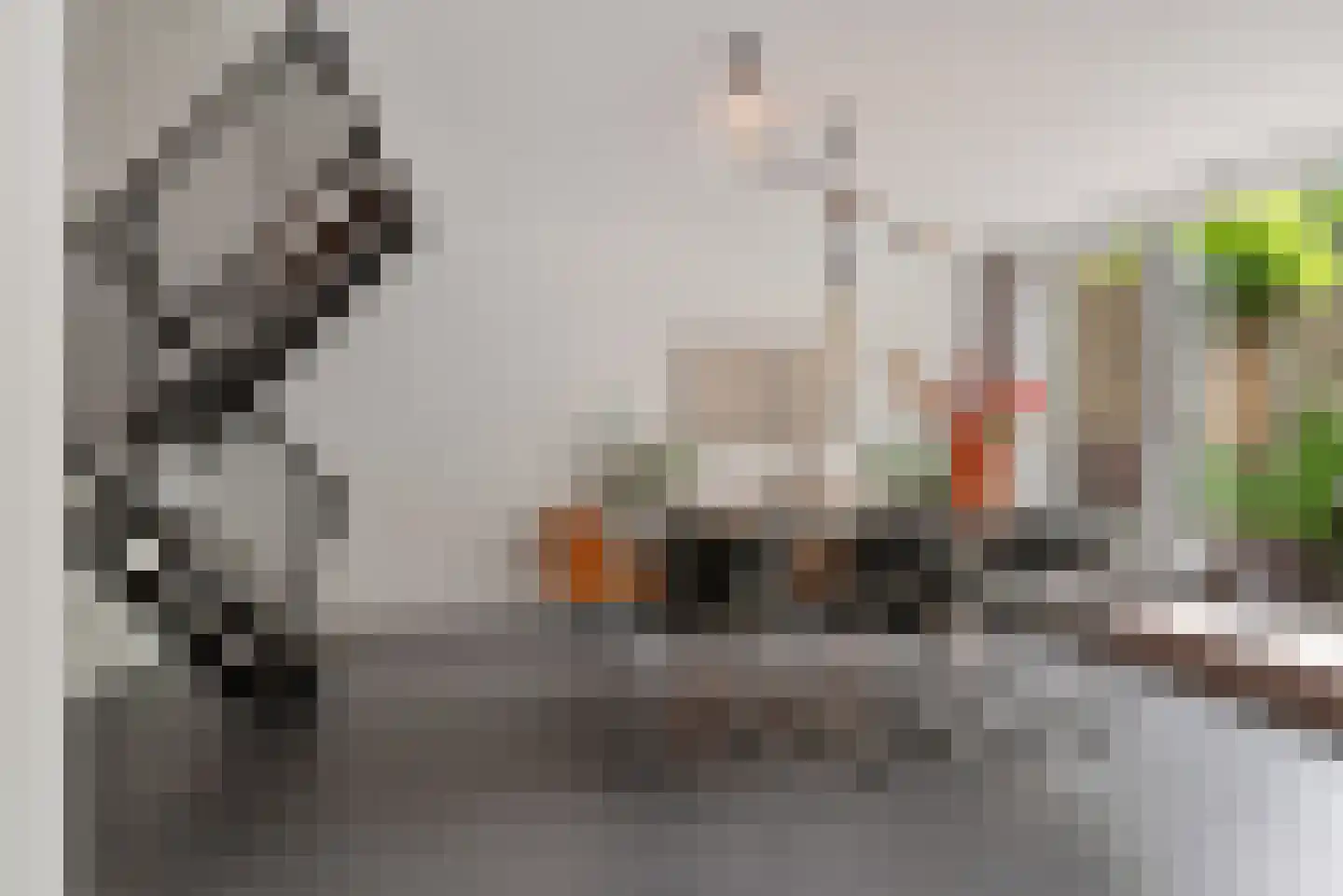 Want 75 Huizen thumbnail 30