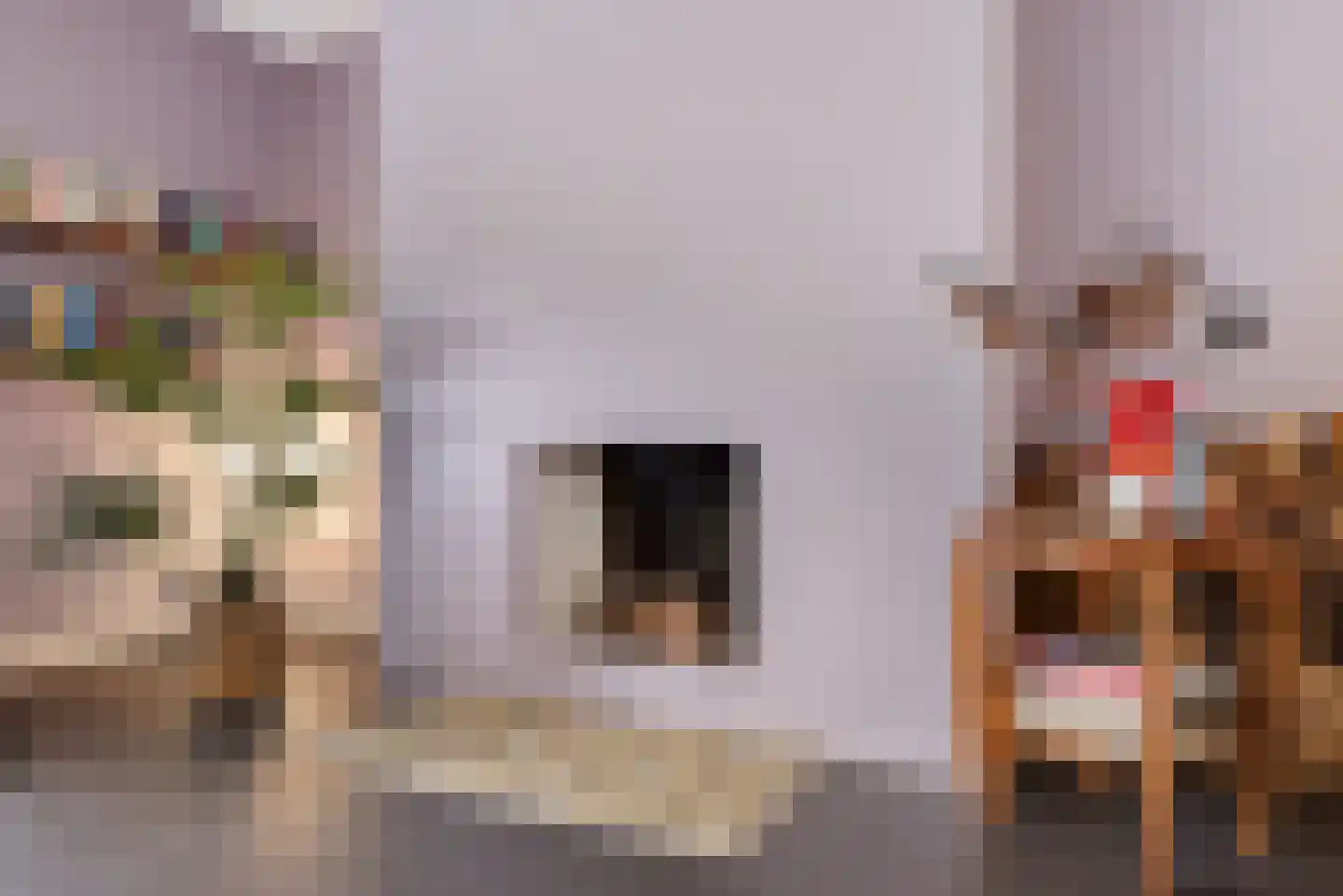Want 75 Huizen thumbnail 37