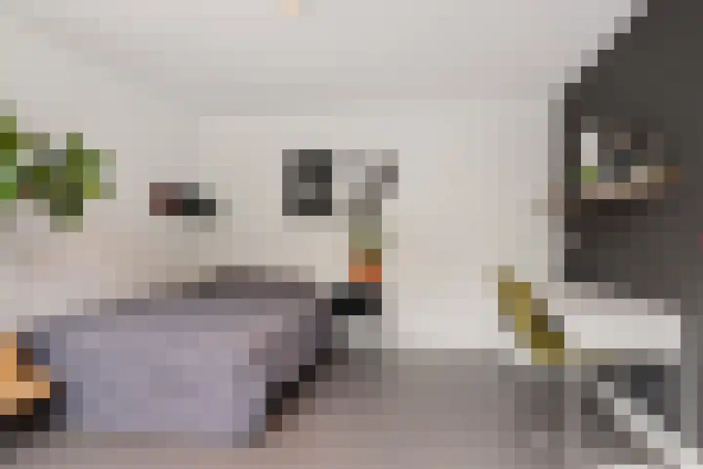 Want 75 Huizen thumbnail 42