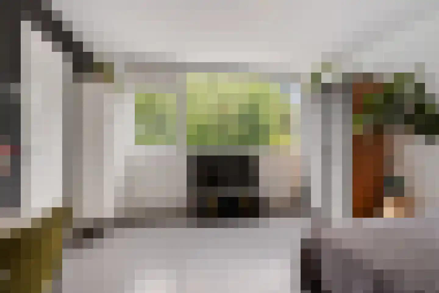 Want 75 Huizen thumbnail 43