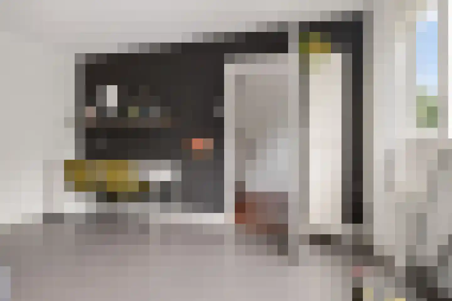 Want 75 Huizen thumbnail 44