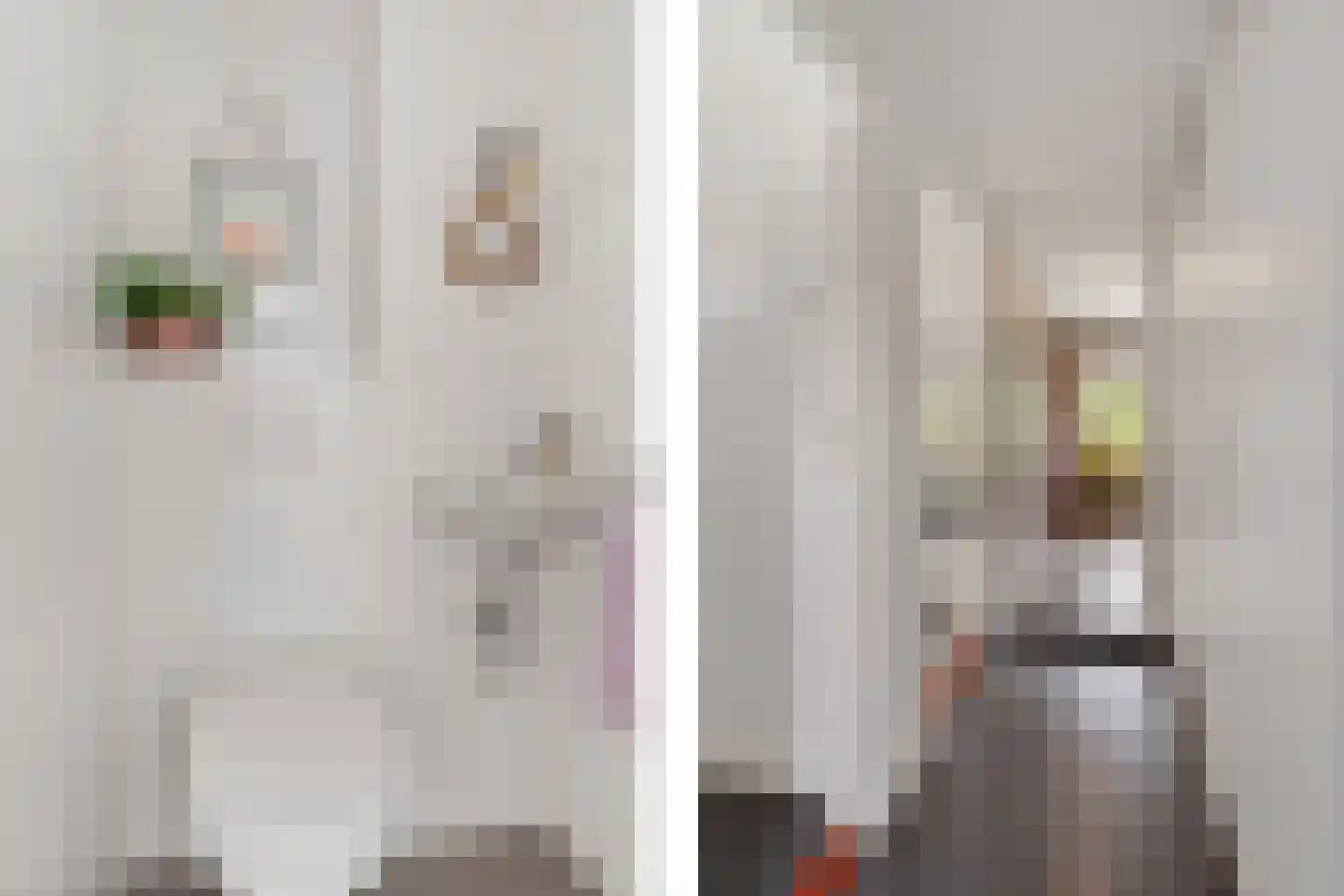 Want 75 Huizen thumbnail 45