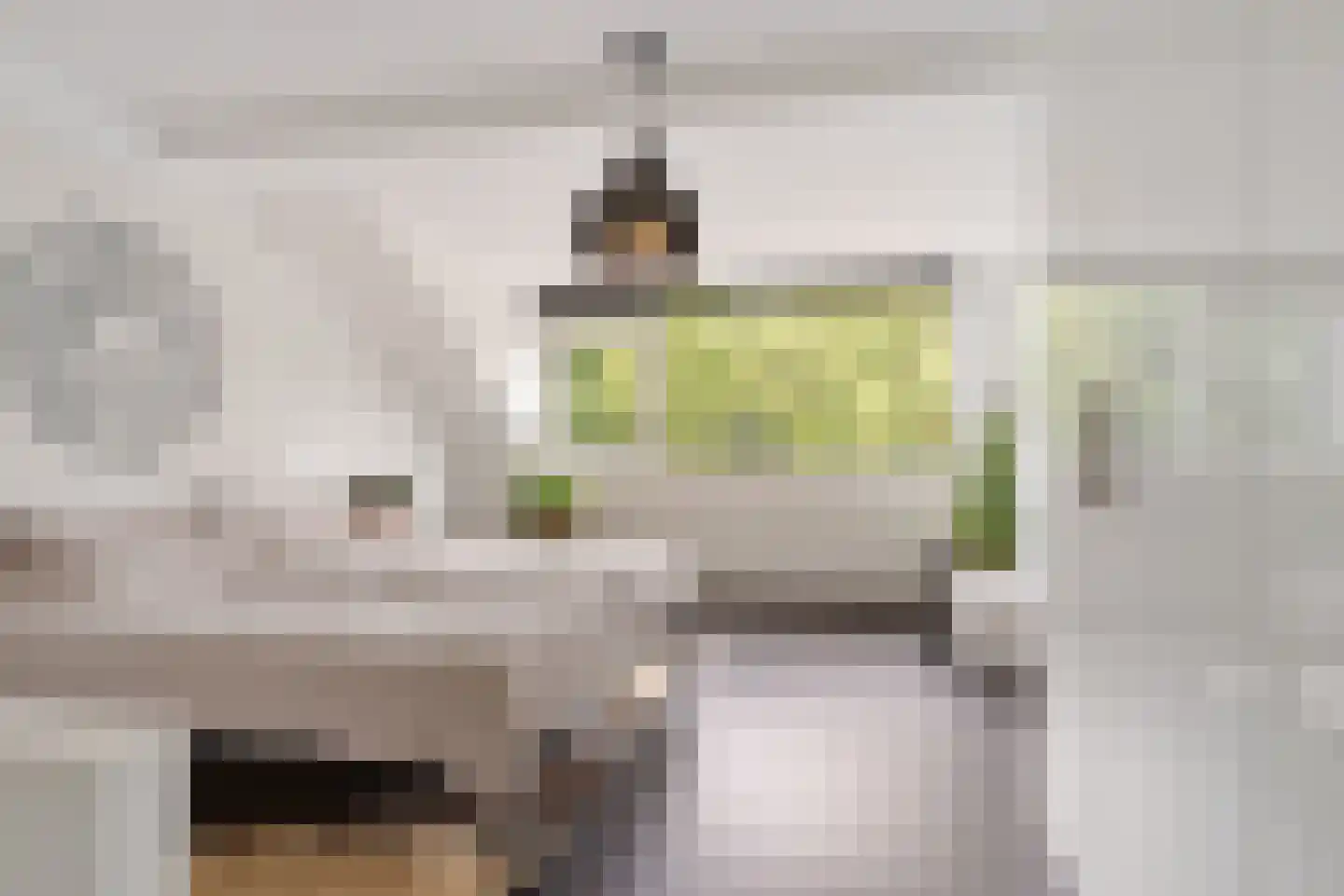 Want 75 Huizen thumbnail 46