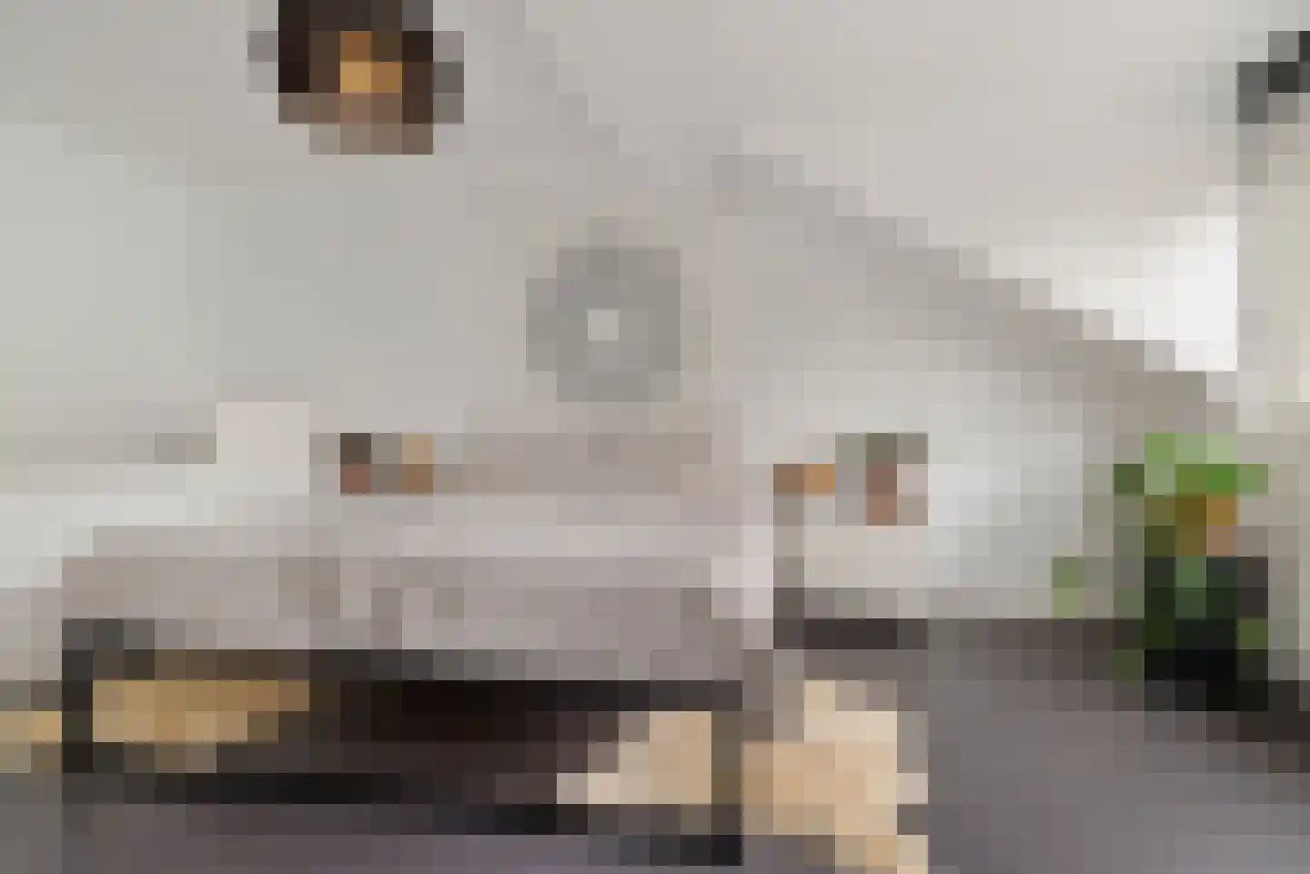 Want 75 Huizen thumbnail 48