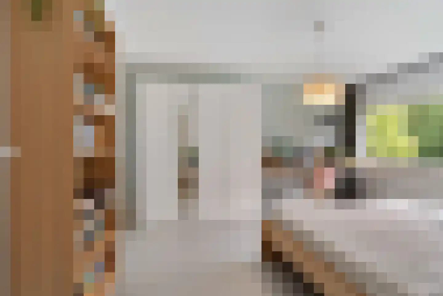 Want 75 Huizen thumbnail 50