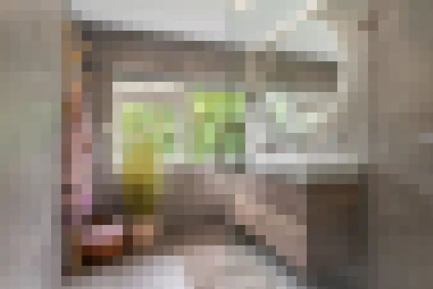 Want 75 Huizen thumbnail 54
