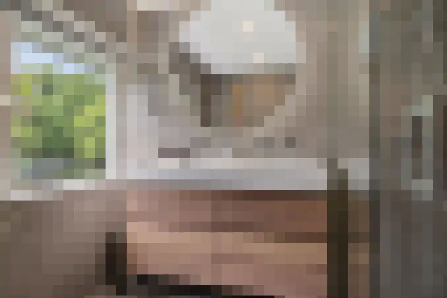 Want 75 Huizen thumbnail 55