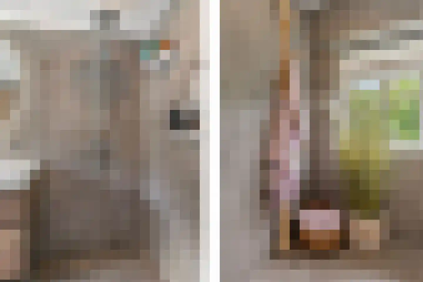 Want 75 Huizen thumbnail 56