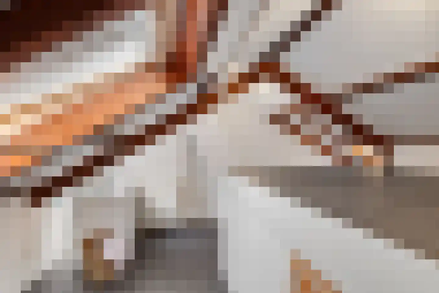 Want 75 Huizen thumbnail 60