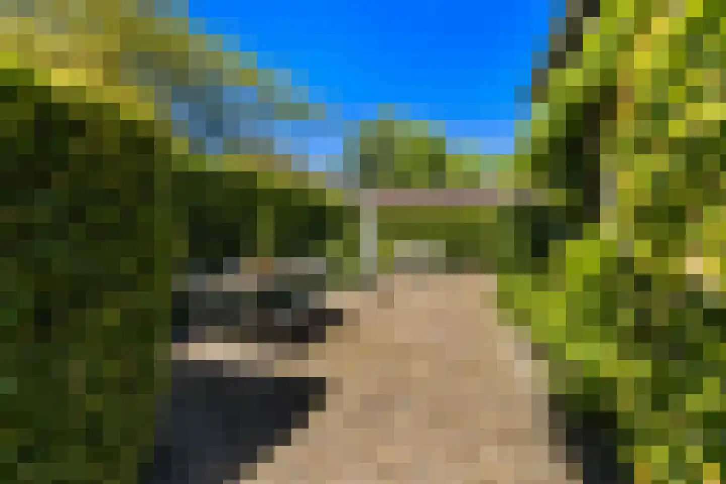 Wantijplantsoen 7 Dordrecht thumbnail 4