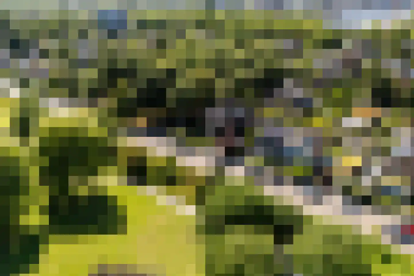 Wantijplantsoen 7 Dordrecht thumbnail 41