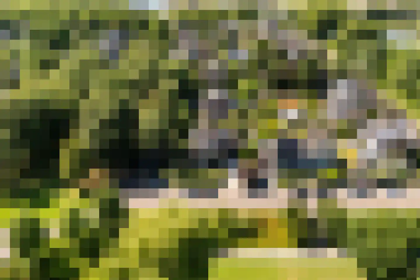 Wantijplantsoen 7 Dordrecht thumbnail 42