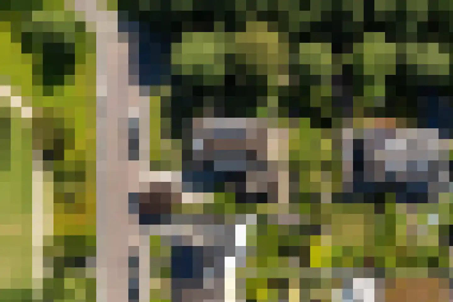 Wantijplantsoen 7 Dordrecht thumbnail 43