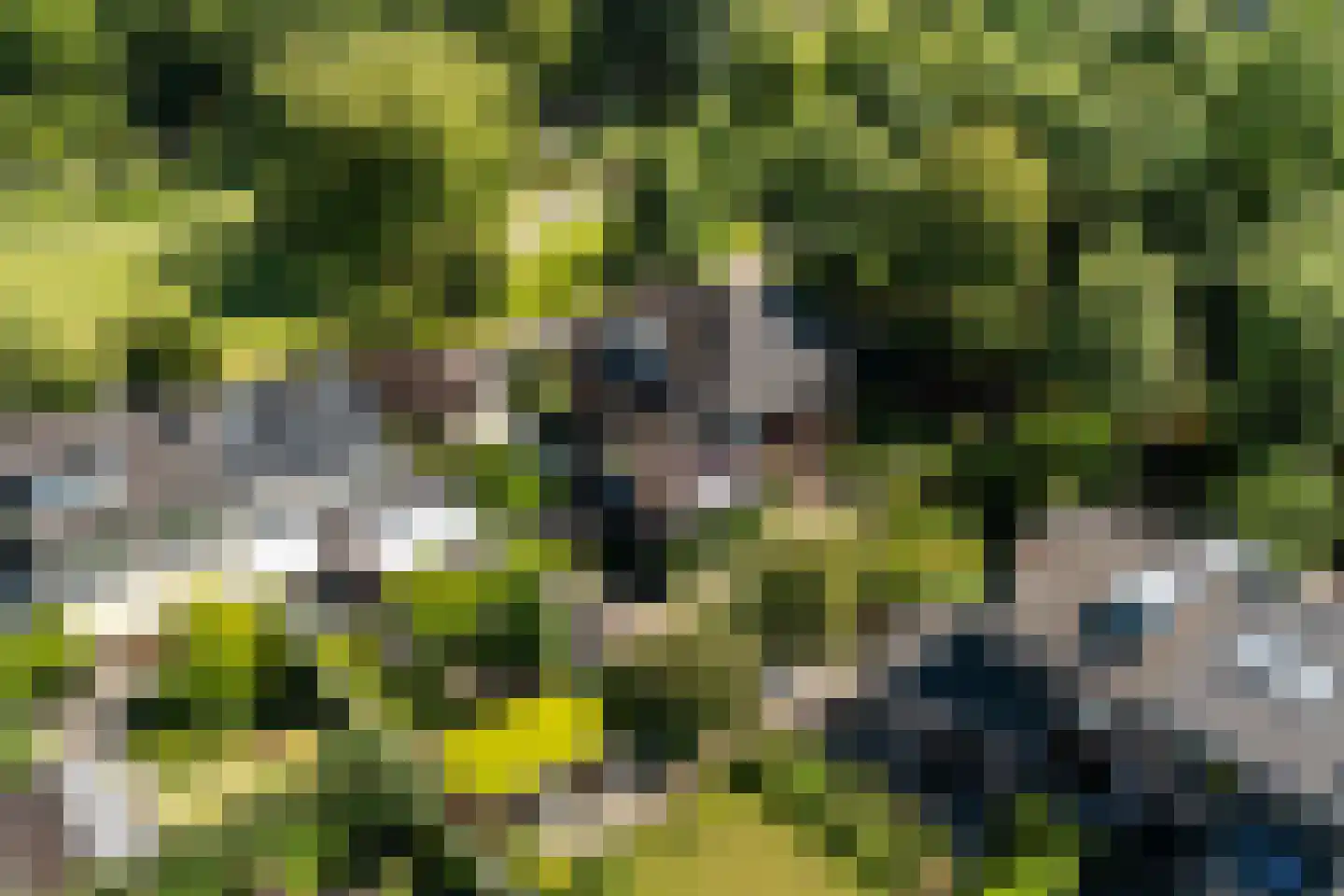 Wantijplantsoen 7 Dordrecht thumbnail 45