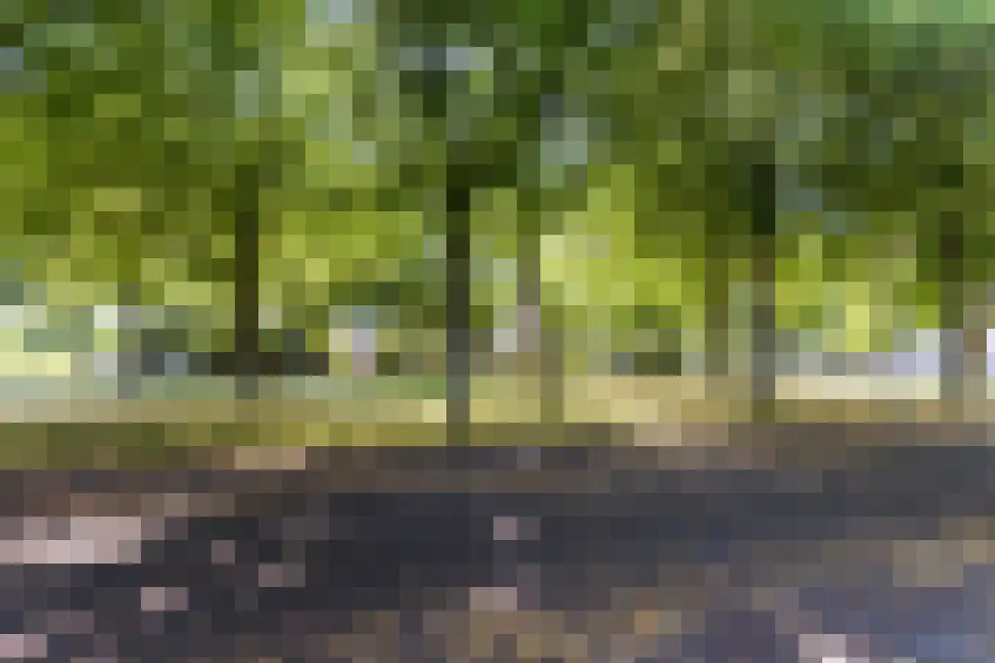Wantijplantsoen 7 Dordrecht thumbnail 47