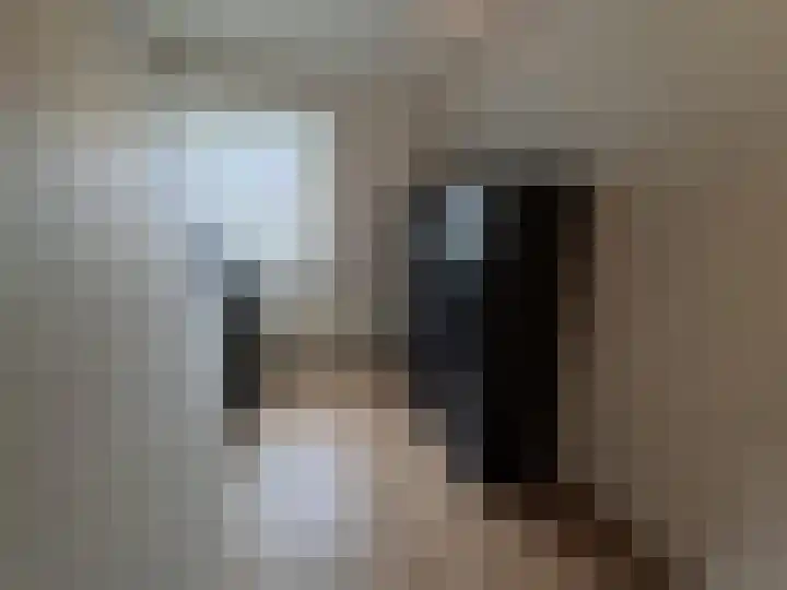 Wantijstraat 20 Dordrecht thumbnail 8