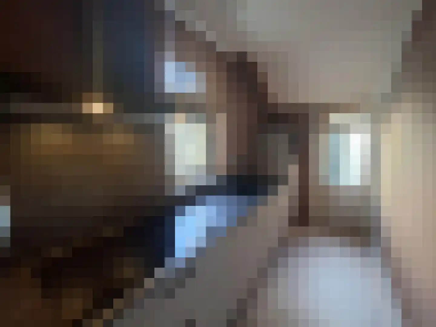Wantijstraat 29 Dordrecht thumbnail 5