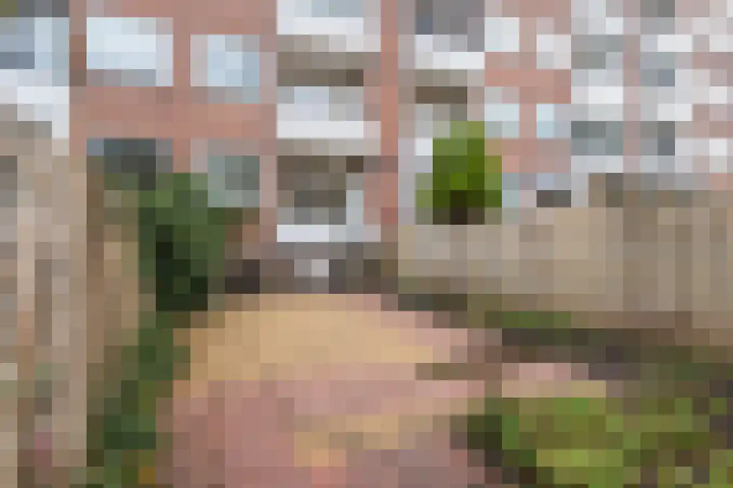 Wantsnijdersgaarde 523 Den Haag thumbnail 32