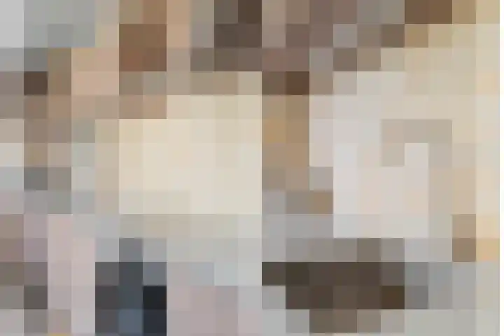 Wanveld 20 Houten thumbnail 10