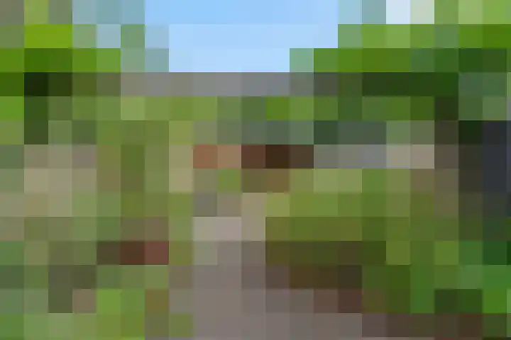 Wanveld 20 Houten thumbnail 13