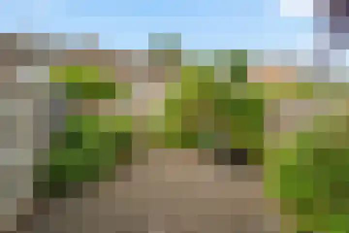 Wanveld 20 Houten thumbnail 15