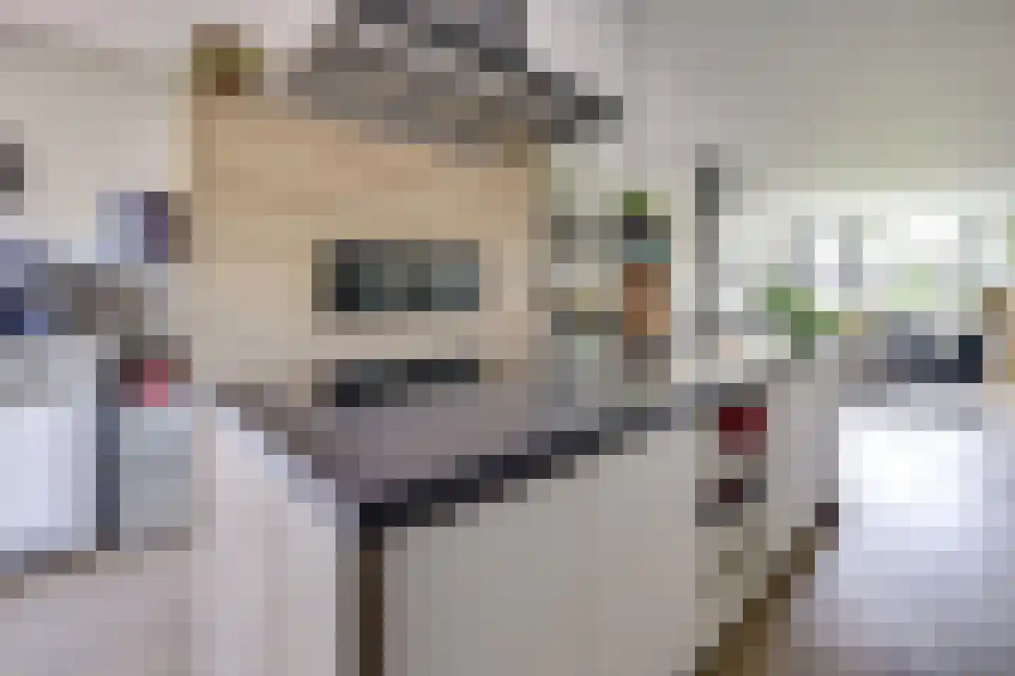 Wanveld 22 Houten thumbnail 13