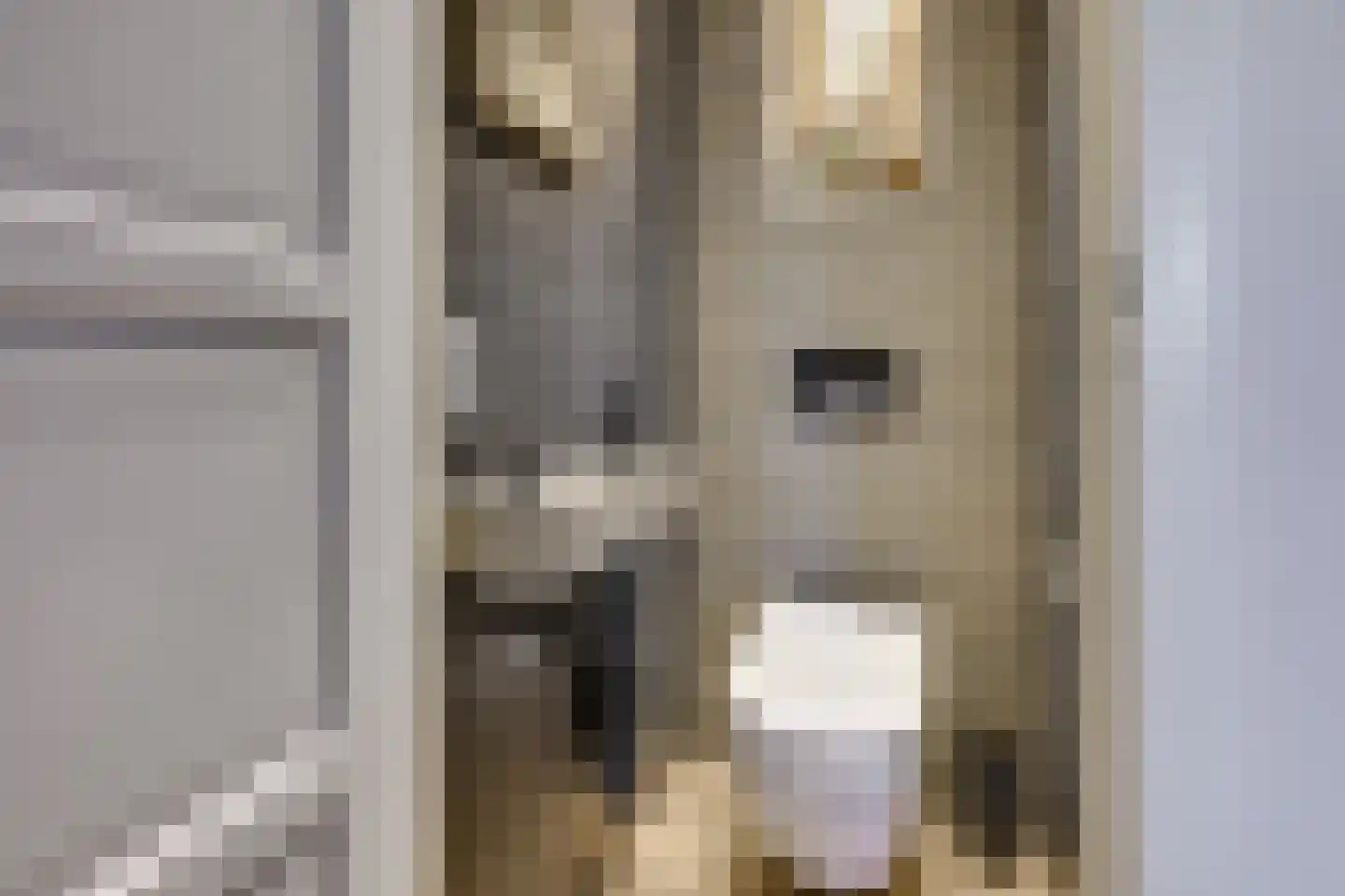 Wanveld 22 Houten thumbnail 21