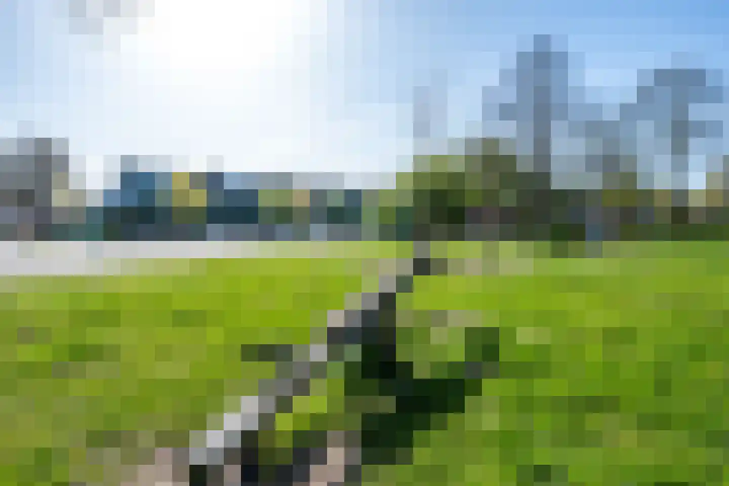 Wanveld 22 Houten thumbnail 38