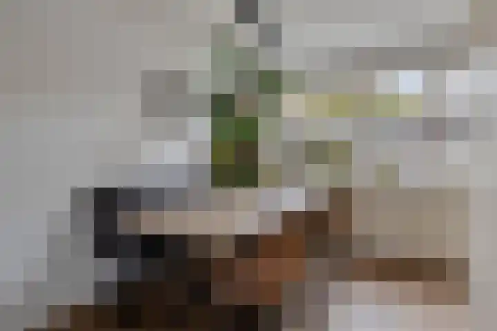 Wanyng 11 Goor thumbnail 10