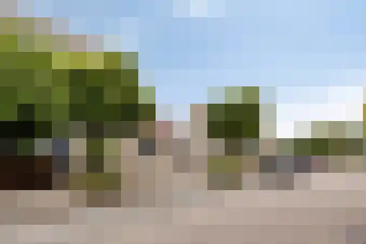Wanyng 11 Goor foto 2