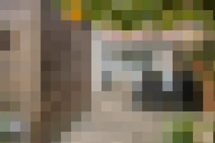 Wanyng 11 Goor thumbnail 28