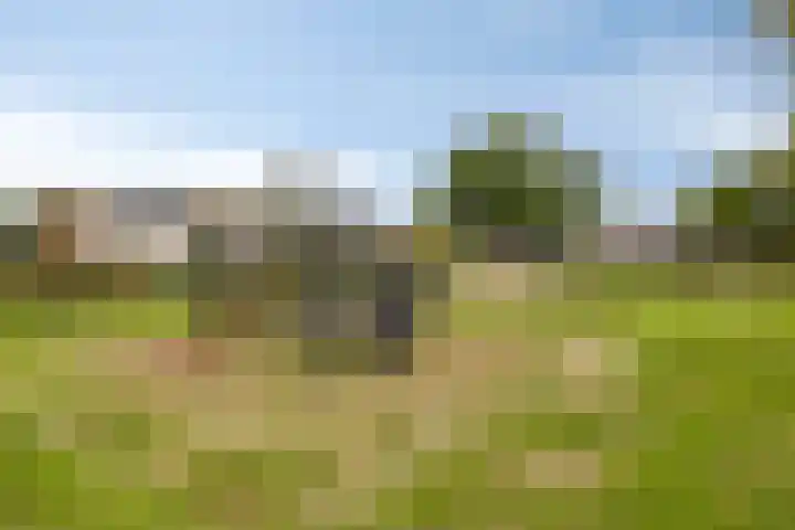 Wanyng 11 Goor thumbnail 29