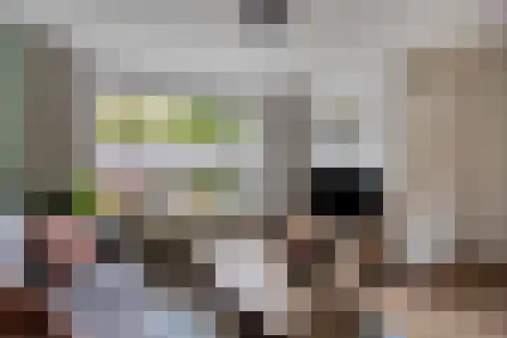 Wanyng 11 Goor thumbnail 5