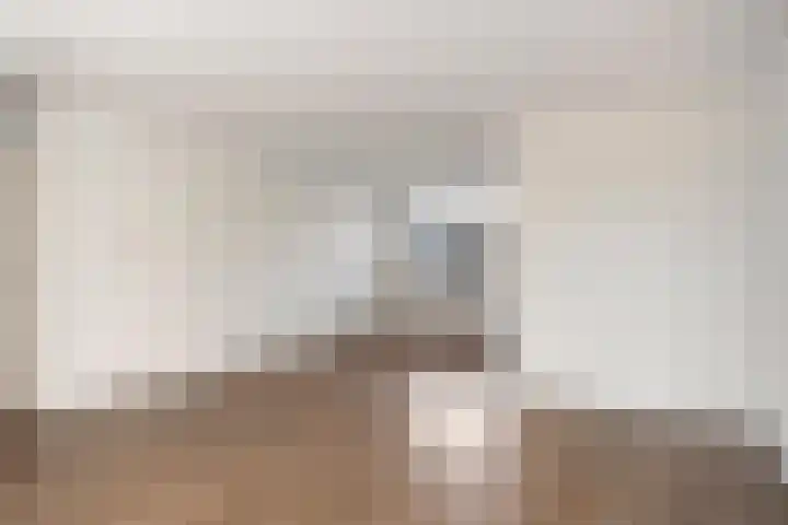 Wanyng 15 Goor thumbnail 11