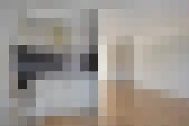 Wanyng 15 Goor thumbnail 16