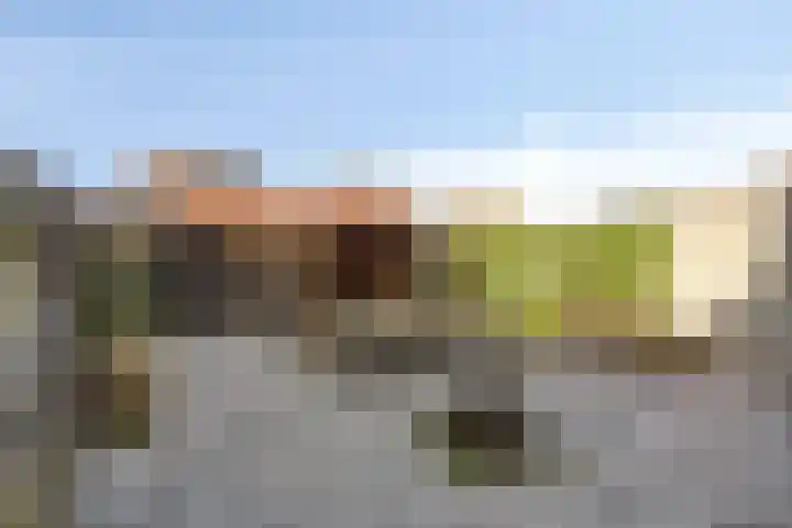 Wanyng 15 Goor thumbnail 28