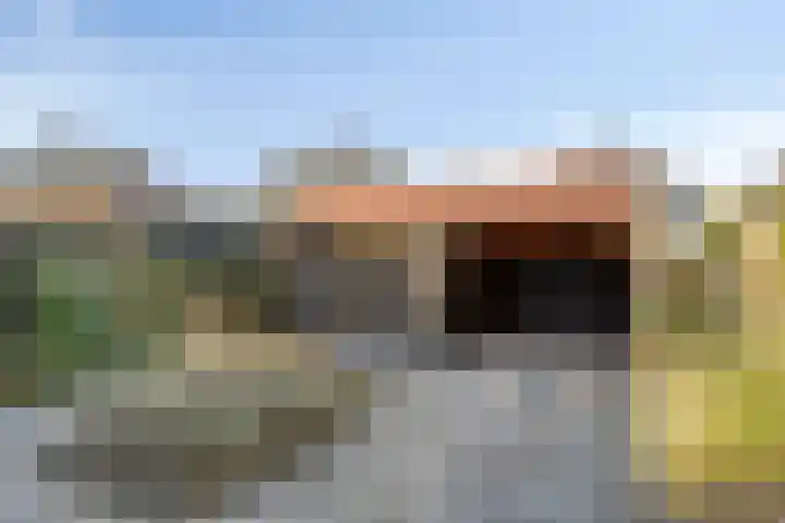 Wanyng 15 Goor thumbnail 29