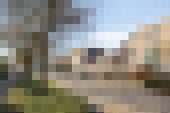Wanyng 15 Goor thumbnail 35
