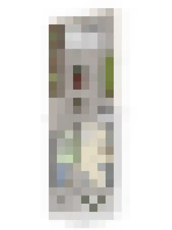 Wanyng 15 Goor thumbnail 38